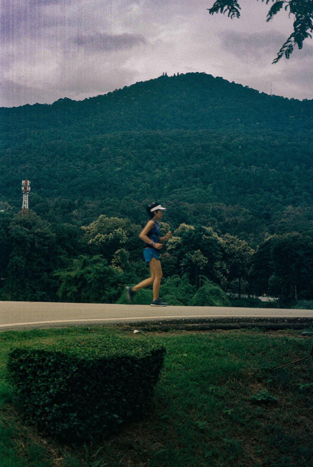 A runner below a forested mountain