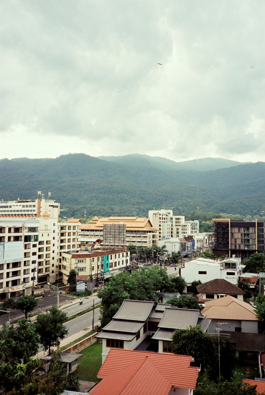 Chiang Mai rooftops below the mountain