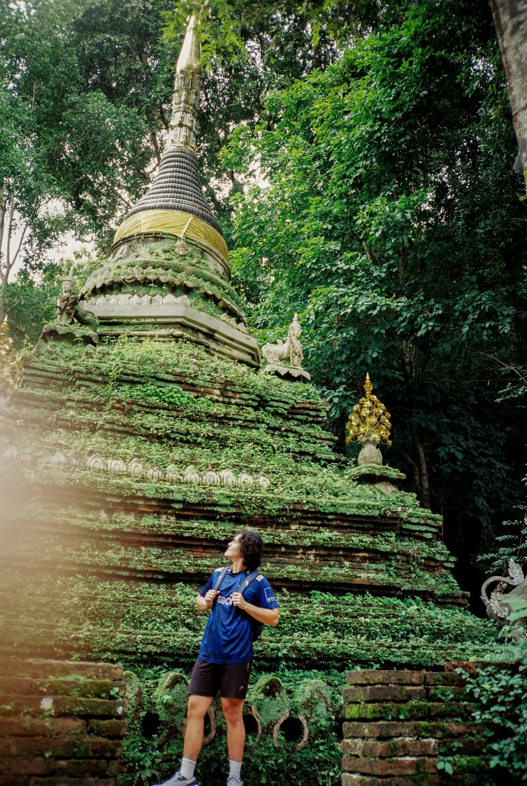 A moss-covered chedi in the forest